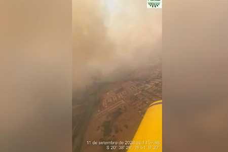 Queimada em Pereira Barreto devastou mil hectares, dizem bombeiros