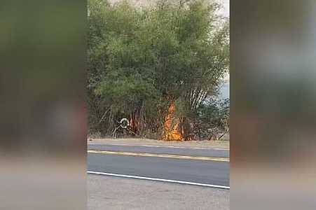 Justiça condena homens acusados de invadir propriedade em Penápolis para atear fogo em área de mata