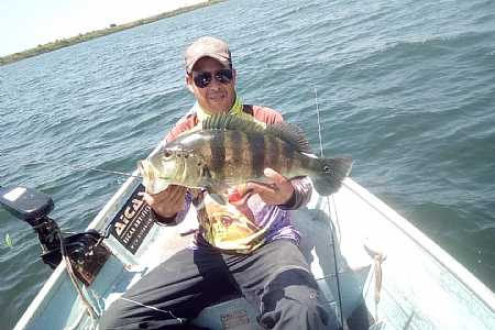 Piloto de barco desaparece no Rio Tietê e é encontrado morto pelos bombeiros