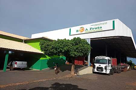 Boa Fruta completa 31 anos de tradição em Palmeira D’Oeste em novo endereço