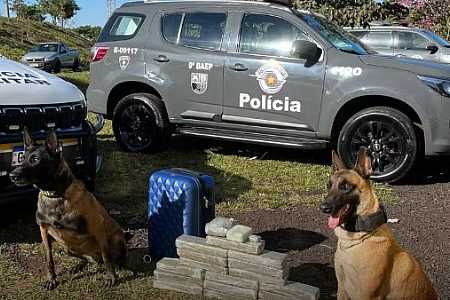 Adolescente de 15 anos é apreendido com maconha em ônibus interestadual