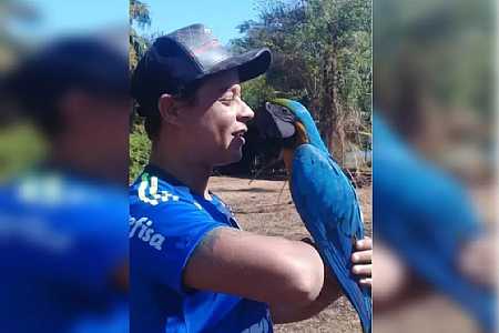 Arara-canindé conhecida por passear de moto morre após ataque de cães no interior de SP