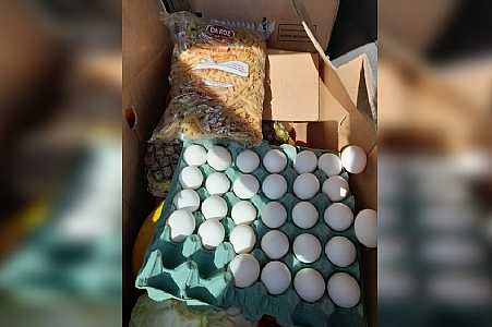 Merendeiras são presas após furtarem alimentos de escola no interior de SP
