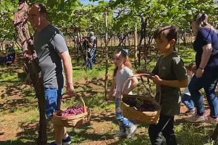 Cidades do noroeste paulista investem na experiência do campo para atrair visitantes