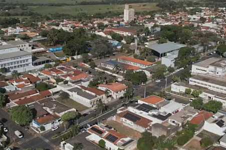 Tem Solução: arborização ajuda a reduzir calor extremo e ganha espaço como estratégia de adaptação climática