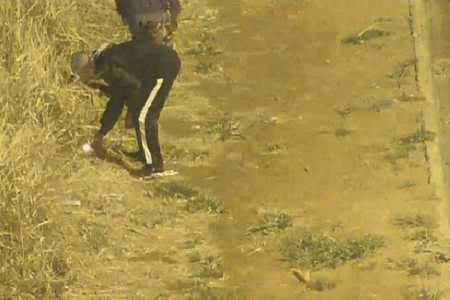 Guarda flagra homem ateando fogo na área do antigo IPA em Rio Preto