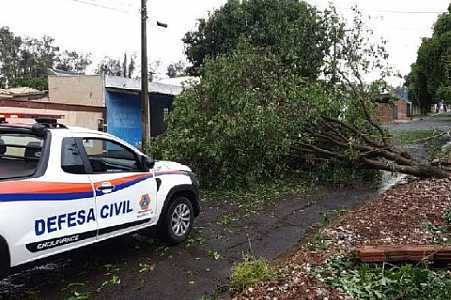 Tempestade de granizo destelha casas e derruba árvores em Presidente Prudente (SP)