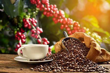 Preço do café sobe quase 35% em um ano; clima e dólar impulsionam alta