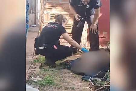 Polícia investiga morte de pit bull com golpes de garfo de churrasco em Votuporanga
