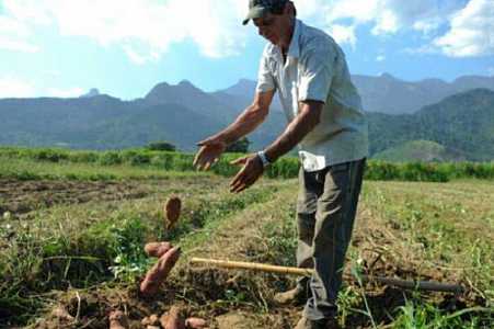 Programa federal de reforma agrária, ´Terra da Gente´ prevê beneficiar 295 mil famílias até 2026