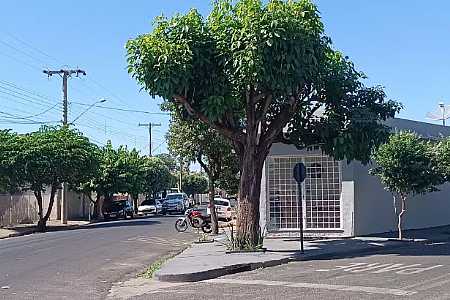 Criança de 5 anos é deixada sozinha em ponto de ônibus na volta da escola em Buritama