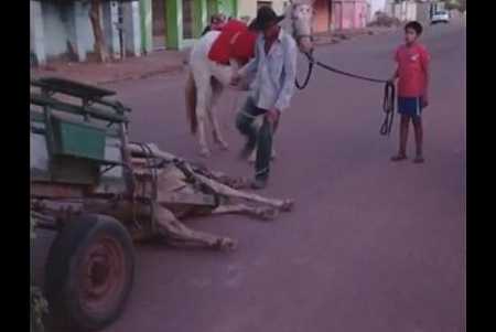Carroceiro chuta cabeça de cavalo após animal cair exausto em MT