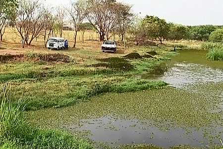 Plantas aquáticas matam peixes em represa de Votuporanga, diz Cetesb