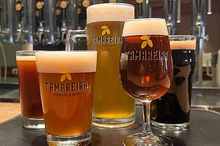 Cervejaria do interior de SP conquista paladares e recebe o título de melhor do estado: ´Sonho´, diz proprietário