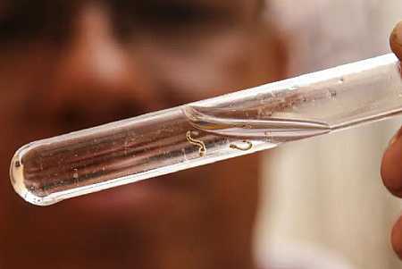 Olímpia registra terceira morte por dengue