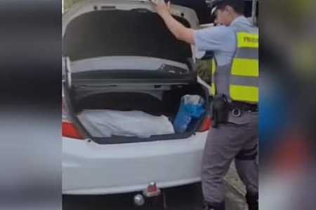 Homem é preso transportando 100 tabletes de maconha dentro de carro em rodovia do interior de SP