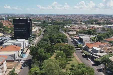 Projeto de revitalização e combate a enchentes prevê retirada de 943 árvores em avenida de Rio Preto