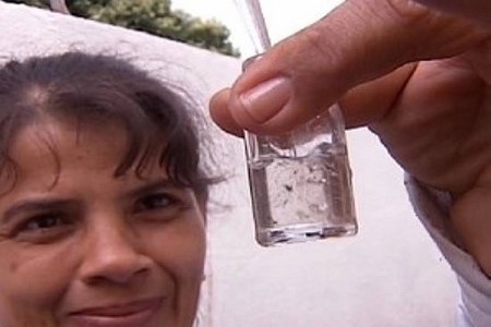 Mirassol e Andradina, SP, enfrentam epidemia de dengue na região
