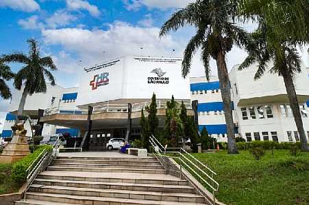 Caiuá confirma primeiro caso de leishmaniose visceral