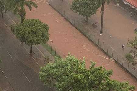 Chuva forte deixa ruas alagadas e causa quedas de árvores em Araçatuba