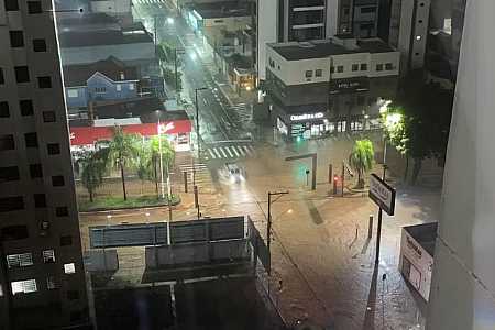 Árvores caem e avenidas ficam alagadas durante chuva forte em Rio Preto