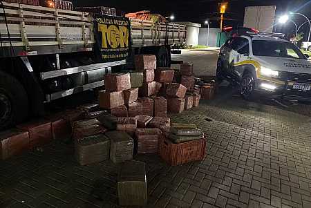 Polícia apreende 3 toneladas de maconha escondidas em carga de caixas plásticas em Catanduva