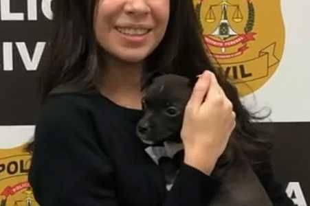 Jovem é preso após oferecer droga ao próprio cachorro