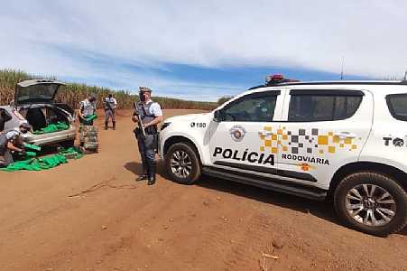 Polícia Rodoviária apreende meia tonelada de maconha em carro