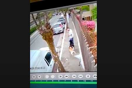 Impressionante: homem morre após ser atropelado por cachorros?; veja o vídeo
