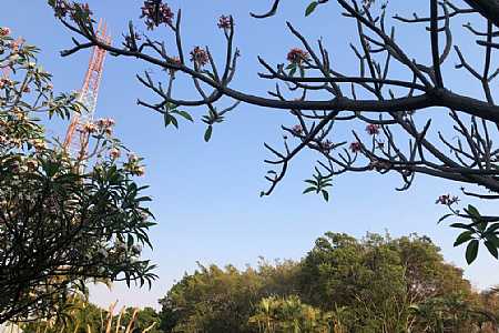 Primavera começa com queda de 10ºC na temperatura e qualidade do ar ruim em Rio Preto