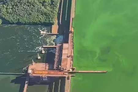 Dados que apontam melhora da água do Rio Tietê contrastam com cenas de ´tapete verde´ no noroeste de SP