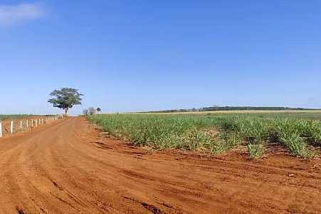 Caseiro de fazenda que morreu carbonizado tentava combater incêndio em canavial em Clementina
