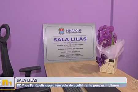 Auxílio-Aluguel ajuda mulheres a romperem ciclo de violência doméstica no interior de SP