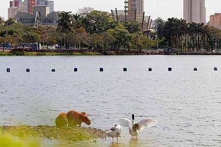 Rio Preto é classificada como Município de Interesse Turístico