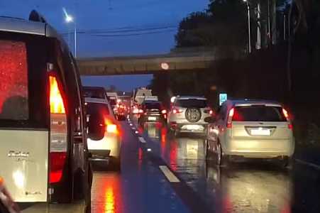 Chuva causa queda de árvore às margens de rodovia em Rio Preto e interdição parcial no trânsito