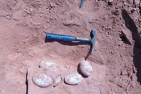 Ovos de dinossauro são descobertos em Presidente Prudente