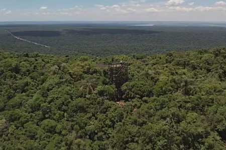 Parque Estadual abriga maior remanescente de Mata Atlântica do interior paulista