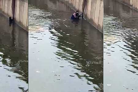 Mulher se arrisca para salvar cachorro que se afogava em ´piscinão´