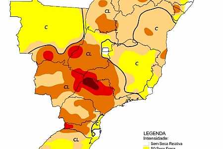 Palmeira d´Oeste e região vivem a pior seca dos últimos 90 anos