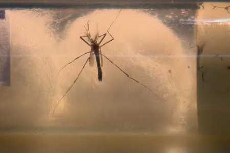 Secretaria da Saúde de Votuporanga confirma 14ª morte por dengue no ano