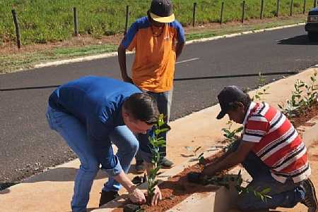 PREFEITURA REALIZA PLANTIO DE MUDAS EM NOVA PISTA DE CAMINHADA
