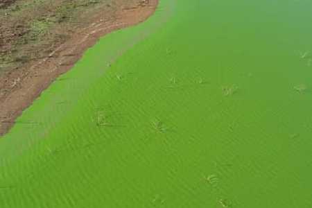 Água verde e mau cheiro no Rio Grande preocupam moradores de Guaraci