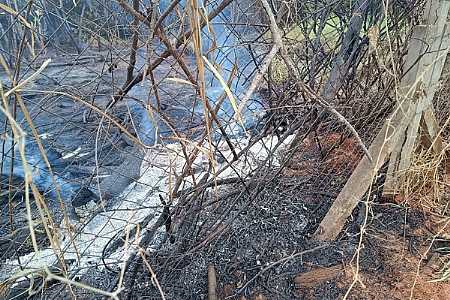 Corpo carbonizado é encontrado em reserva ecológica de Votuporanga