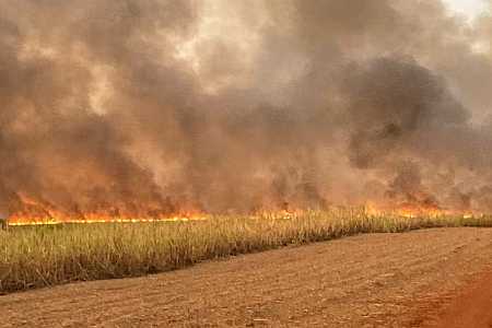 Queimada deixa canavial e fazenda devastados em Olímpia