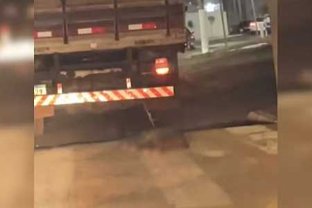 Caminhoneiro é investigado por arrastar cachorro em avenida do interior de SP