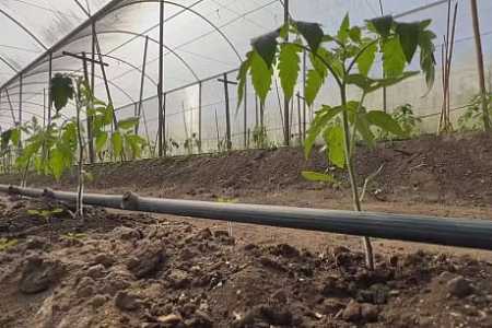 Número de jovens no campo diminui no interior de SP e acende alerta para sucessão no agro