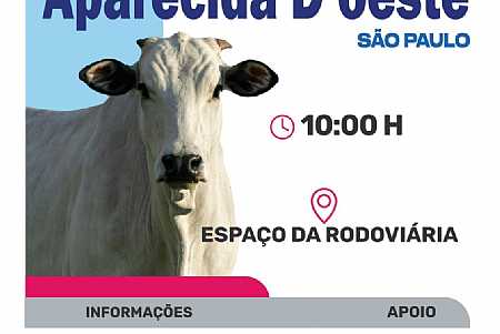Leilão em Prol do Hospital do amor em Aparecida d´Oeste foi esplêndido
