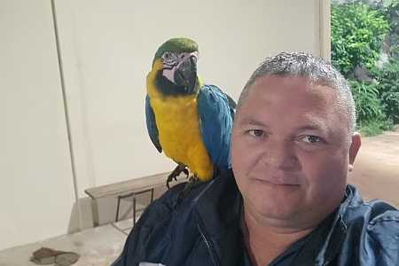 Arara pousa em braço de guarda municipal e ´pega carona´ durante patrulhamento no interior de SP: ´Surpreendido´