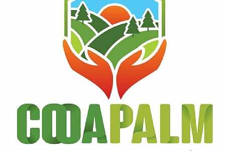 Cooperativa agropecuária de Palmeira d’Oeste (Cooapalm) completa 1 ano e supera expectativas