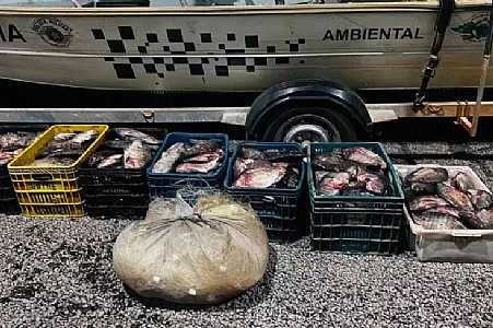 Polícia Ambiental apreende mais de 300 quilos de peixe e multa em R$ 17 mil grupo por pesca predatória em Novo Horizonte